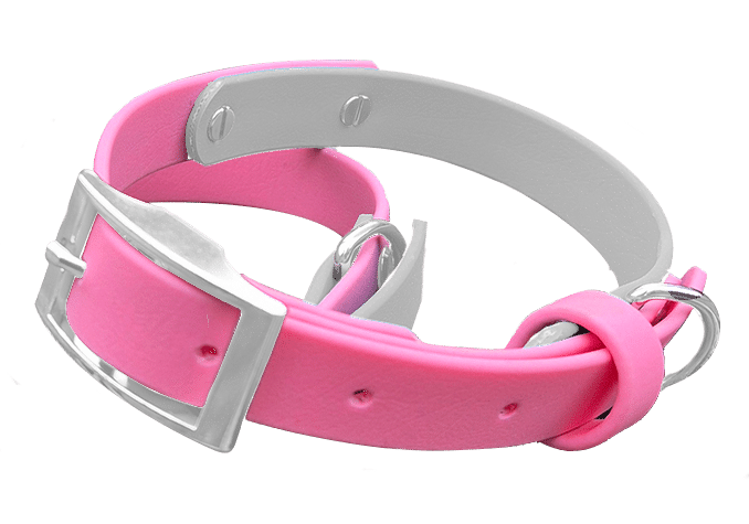 A pink and grey dog collar with a silver buckle and D-ring, shown on a white background.