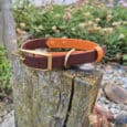 A brown and orange dog collar with a gold buckle rests on a weathered wooden post in a garden with rocks, succulents, and flowering plants in the background.