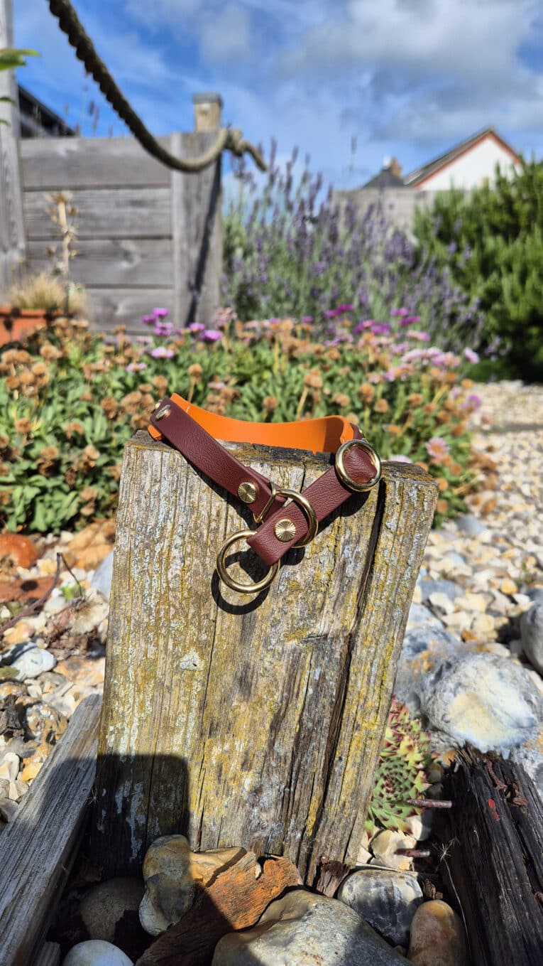A brown and orange dog collar with gold rings is draped over a weathered wooden post in a garden with colourful flowers, gravel, and a wooden fence under a partly cloudy sky.