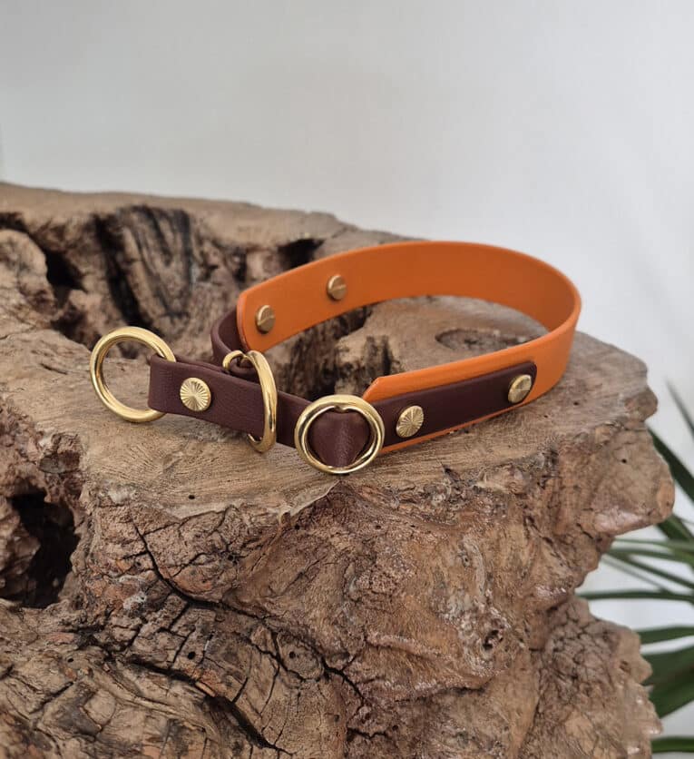 An orange and brown leather dog collar with gold metal rings and rivets rests on a textured piece of wood, with a green plant partially visible in the corner.