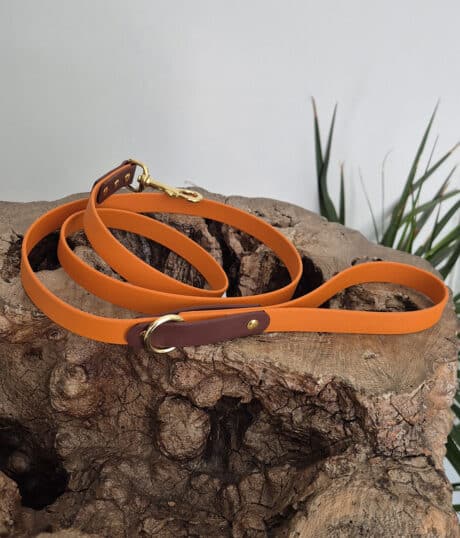 An orange dog lead with brown leather accents and a gold clasp, coiled and displayed on a textured wooden surface with green plant leaves in the background.