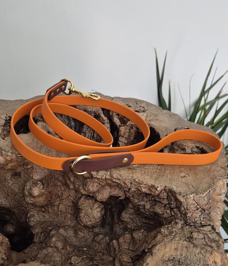 An orange dog lead with brown leather accents and a gold clasp, coiled and displayed on a textured wooden surface with green plant leaves in the background.