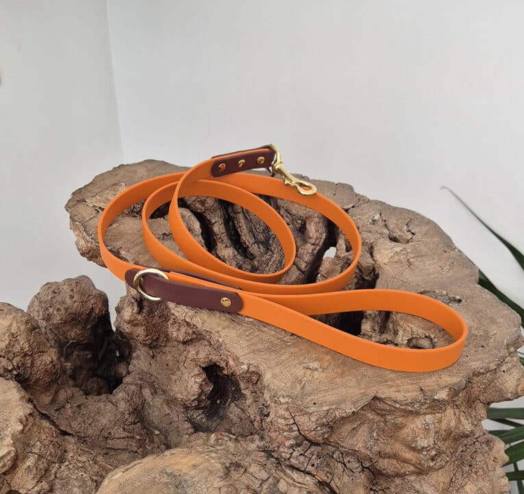 An orange dog lead with brown leather accents and a gold clasp is coiled on a textured wooden surface, with part of a green plant visible to the right.