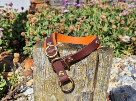 A brown and orange dog collar with gold fittings resting on a weathered wooden post, surrounded by stones and blooming flowers in a garden.