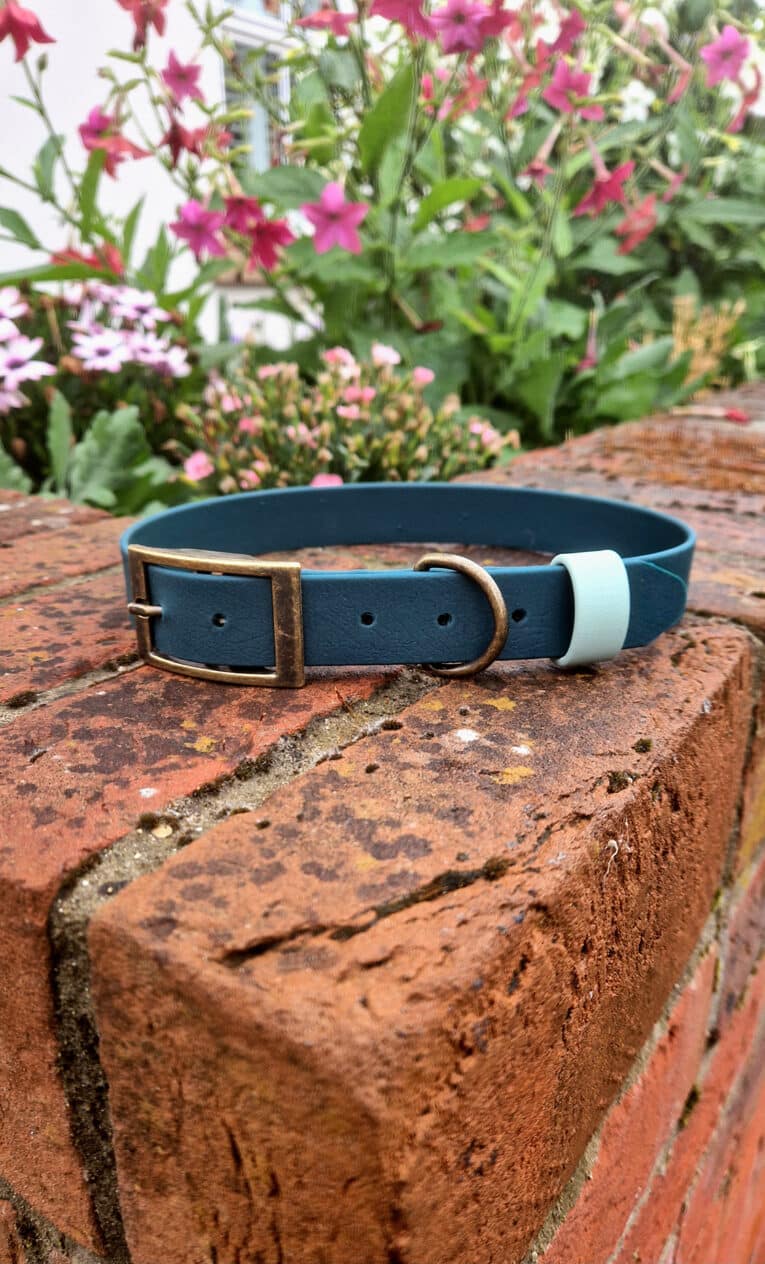A blue dog collar with a brass buckle and a light blue tag rests on a red brick wall, with blooming pink flowers and green foliage blurred in the background.