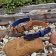 Two dog collars, one tan and one navy blue, with bronze buckles, lying on a bed of rocks and pebbles outdoors near green foliage and wooden planks.