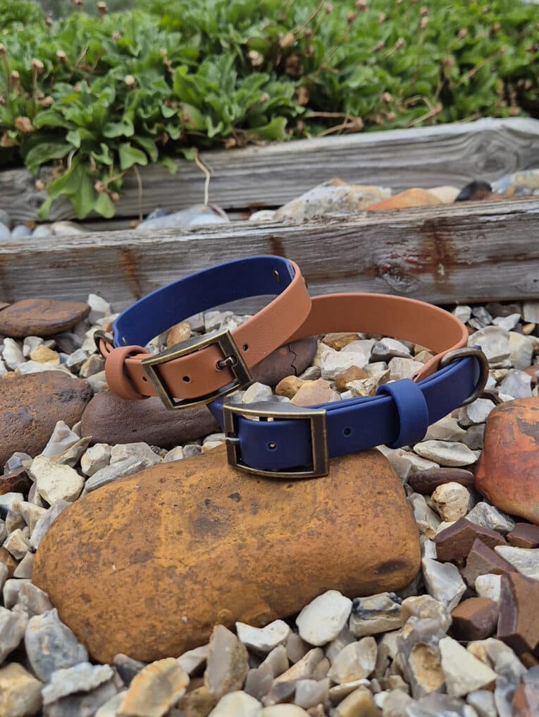 Two dog collars, one tan and one navy blue, with bronze buckles, lying on a bed of rocks and pebbles outdoors near green foliage and wooden planks.