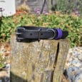A black dog collar with a purple loop rests on a weathered wooden stump in a garden, surrounded by rocks, green plants, and purple flowers under a bright blue sky.