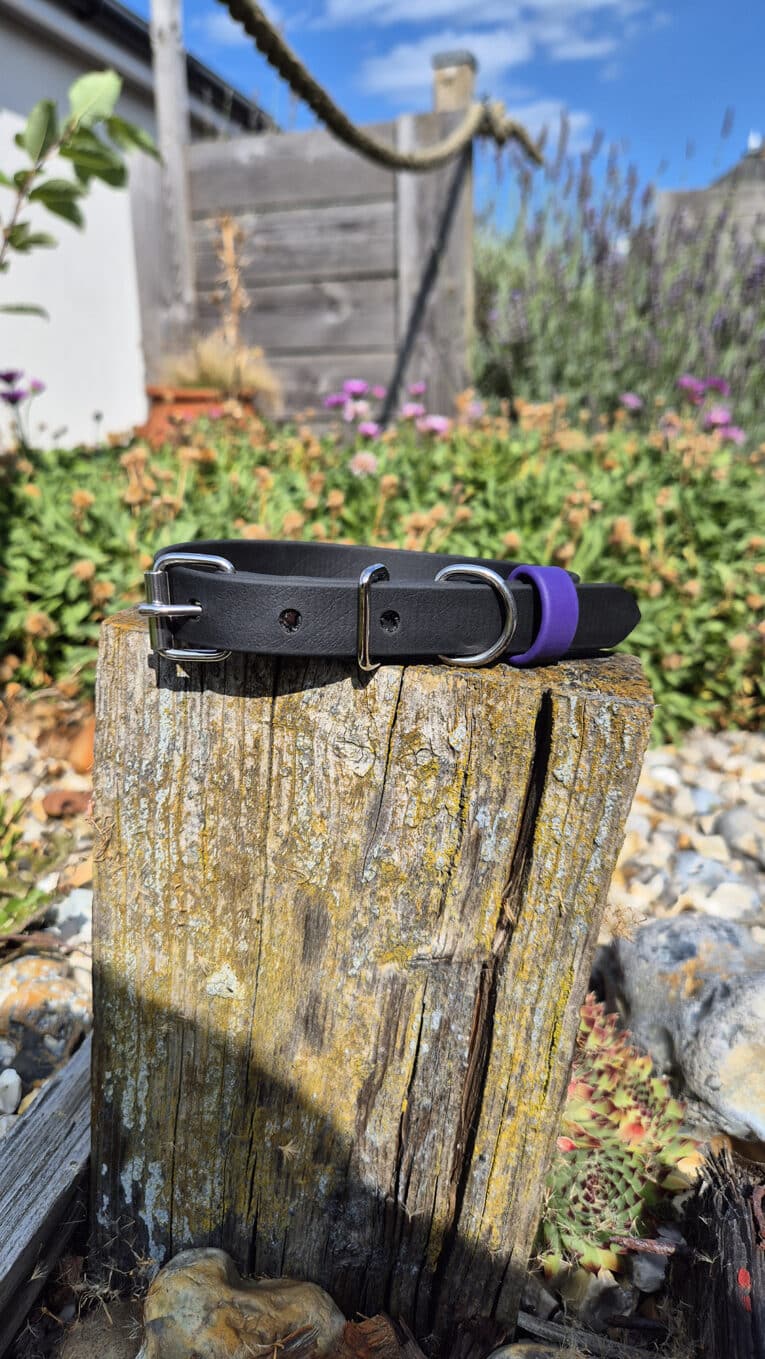 A black dog collar with a purple loop rests on a weathered wooden stump in a garden, surrounded by rocks, green plants, and purple flowers under a bright blue sky.