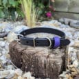 A black dog collar with a silver buckle and a purple band rests on a tree stump, surrounded by rocks and plants in a garden setting.