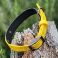 A bright yellow leather collar with a metal buckle is draped over a weathered tree stump, with green foliage blurred in the background.