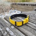 A yellow and black dog collar lies on a weathered wooden surface outdoors, with rocks, ornamental grasses, and a wooden fence in the background.