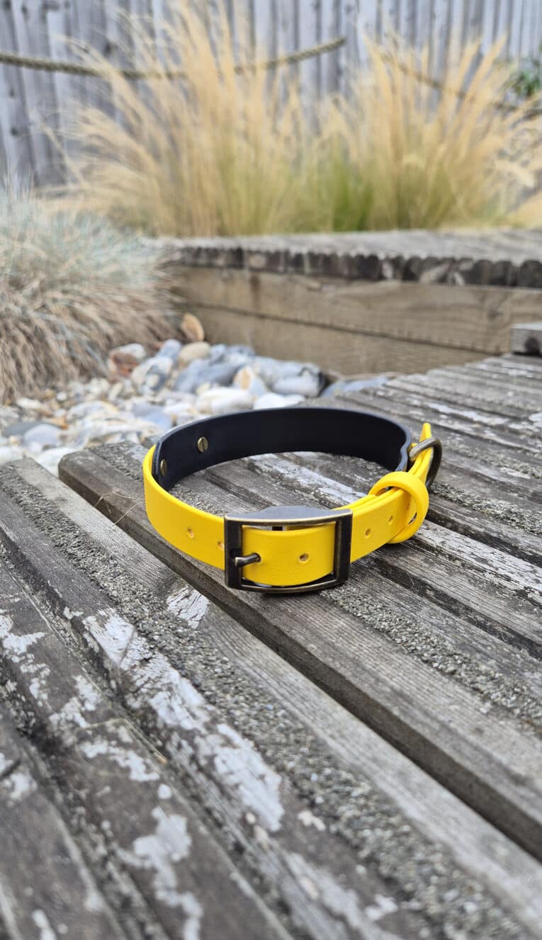 A yellow and black dog collar lies on a weathered wooden surface outdoors, with rocks, ornamental grasses, and a wooden fence in the background.