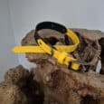 A yellow and black collar with a metal buckle is displayed on a rough, textured piece of wood against a plain background.