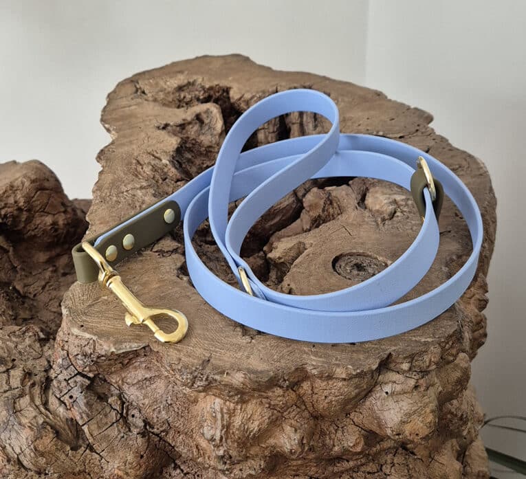 A light blue dog lead with gold fittings and an olive green handle is coiled on a rough, textured piece of natural wood.