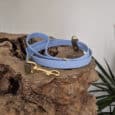 A light blue dog lead with gold fittings is coiled on a textured piece of wood. A green plant is visible in the bottom right corner against a plain white background.