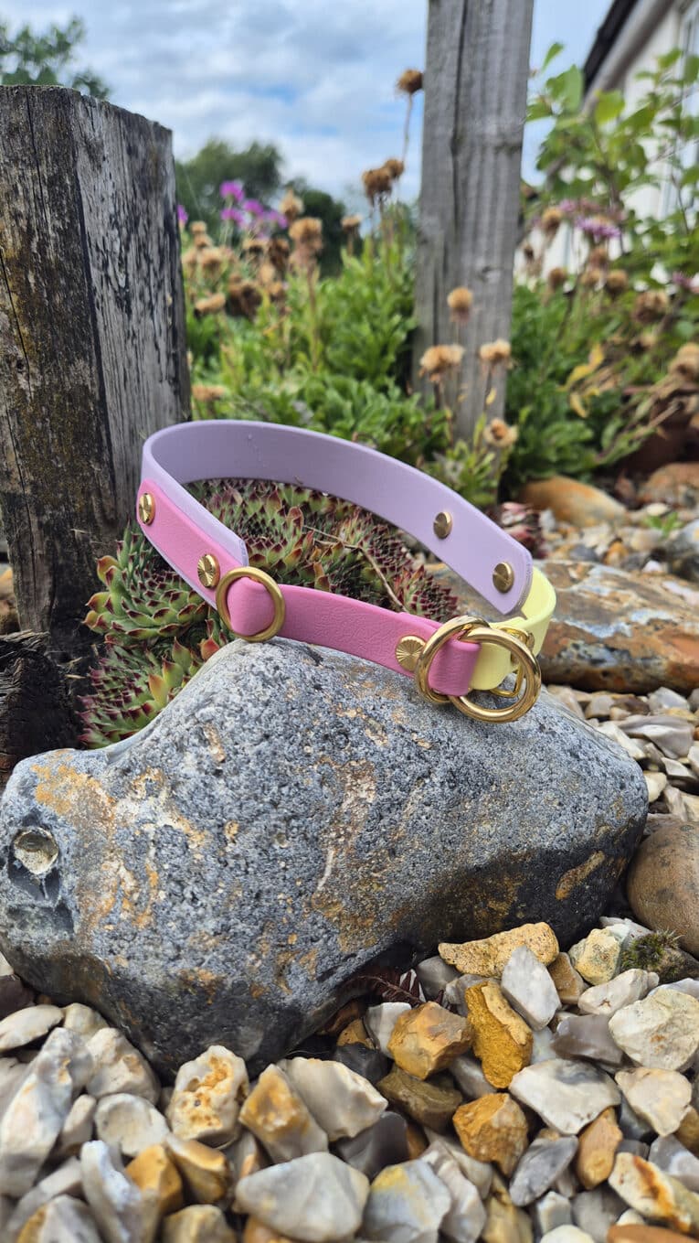 A pink and lavender collar with gold studs and rings rests on a large stone among small rocks and plants in a garden setting.