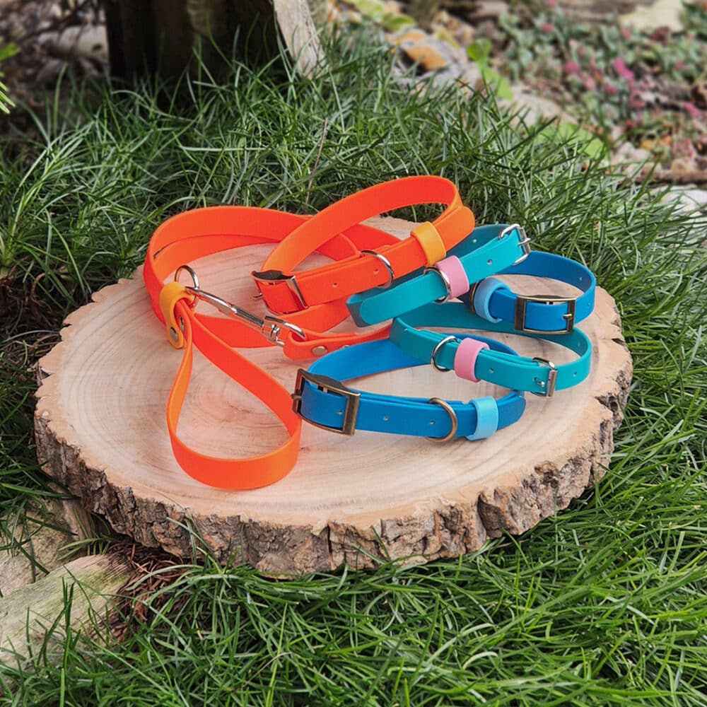 Colourful handmade BioThane dog collars displayed on wooden stump, featuring tangerine, blue and pink designs with metal buckles.