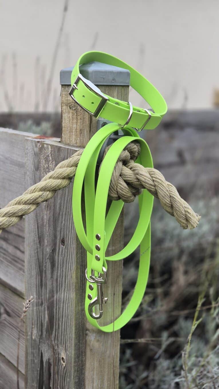 A Custom Single Colour Collar in bright green is looped around a thick knotted rope on a wooden fence outdoors, with blurred plants and a neutral background.