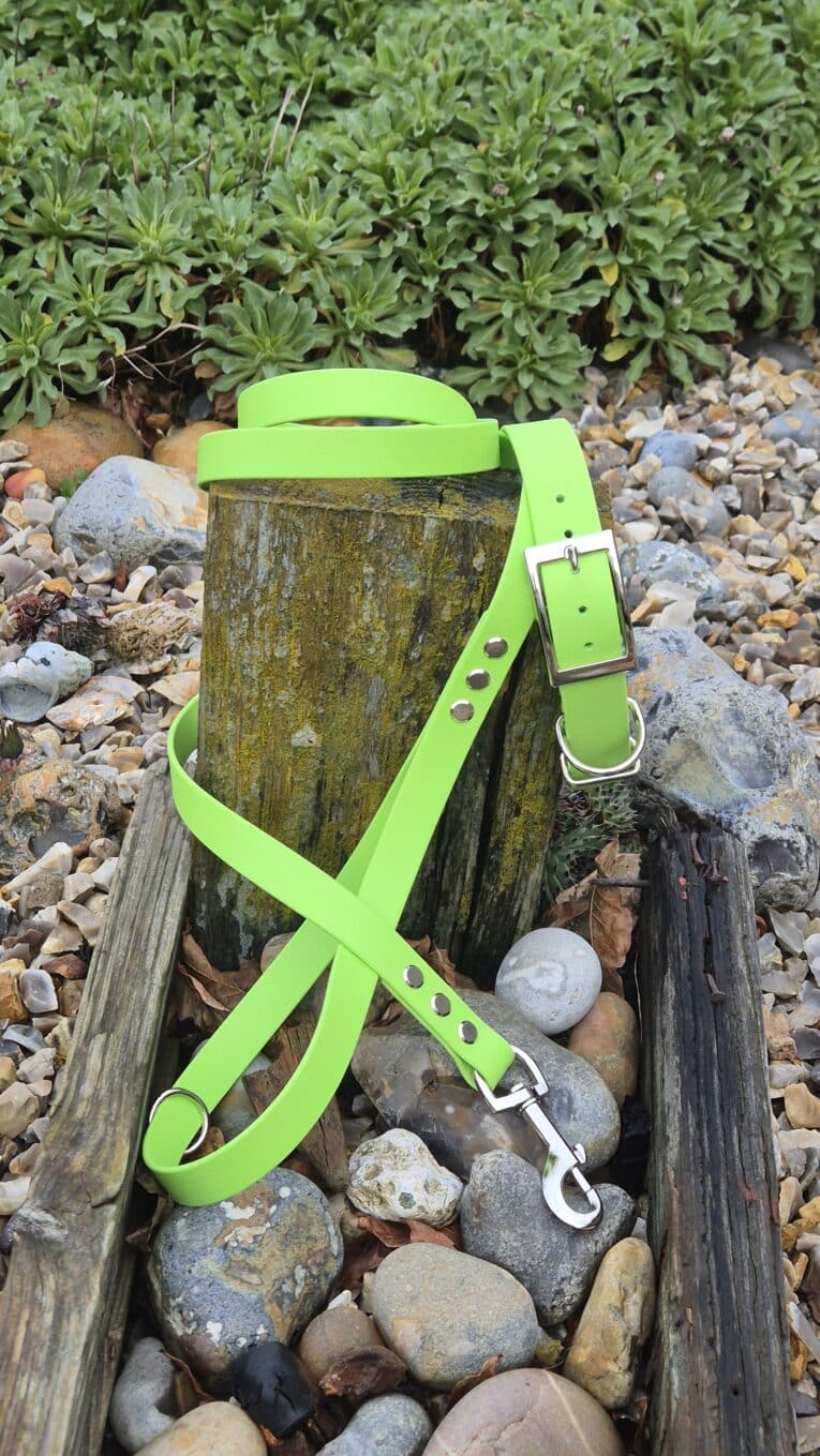 The Custom Single Colour Collar in bright green, with a matching lead, is displayed on a weathered wooden post amid rocks and plants outdoors.