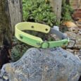 Two handmade BioThane half slip collars in lime green and pale yellow, displayed on a garden stone with metal D-rings and studded detailing visible.