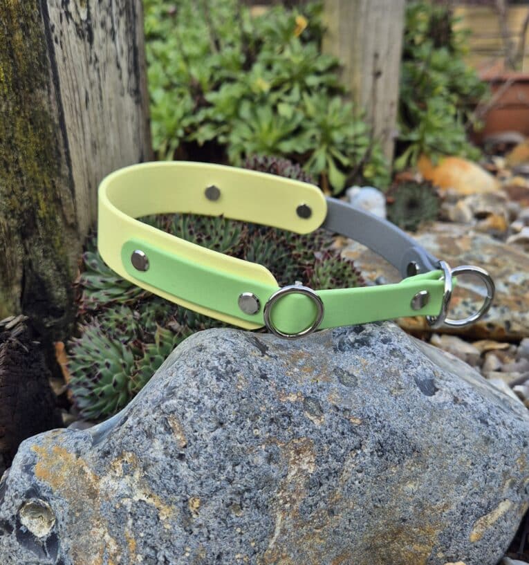 Two handmade BioThane half slip collars in lime green and pale yellow, displayed on a garden stone with metal D-rings and studded detailing visible.