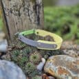 Vibrant yellow and grey custom half slip collar displayed on desert plants, showcasing handmade BioThane dog collar design outdoors.