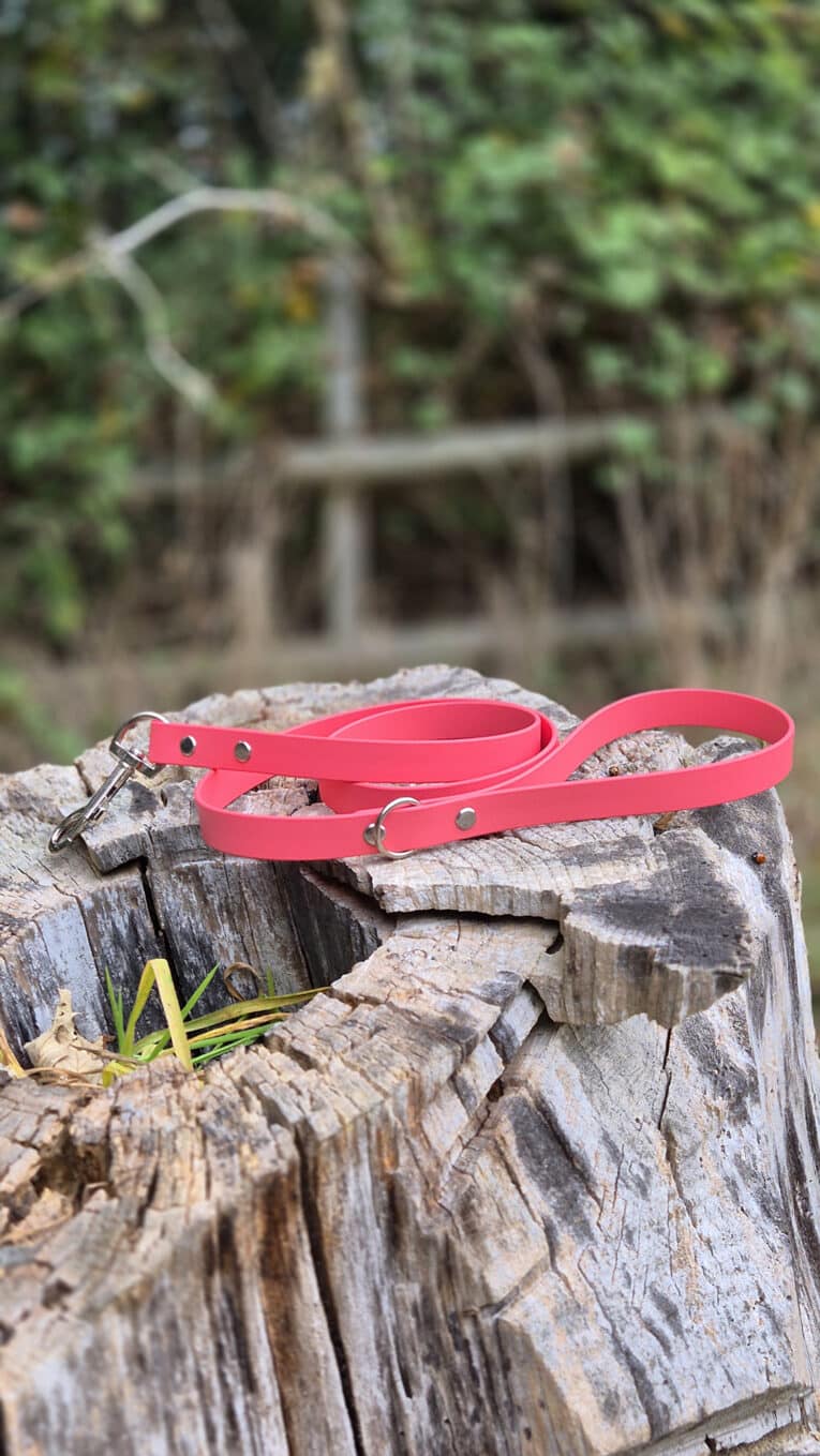 A bright pink dog lead with metal fittings is coiled on top of a weathered tree stump outdoors, with green foliage blurred in the background.