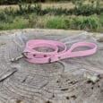 A pink dog lead lies coiled on a large tree stump in an outdoor setting with green grass, bushes, and trees in the background under a cloudy sky.