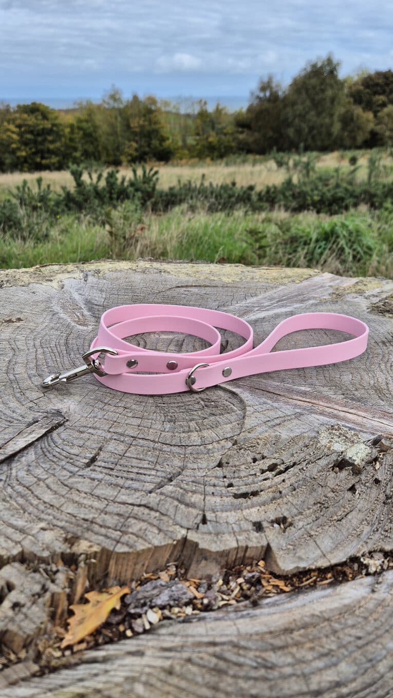 A pink dog lead lies coiled on a large tree stump in an outdoor setting with green grass, bushes, and trees in the background under a cloudy sky.