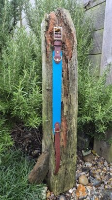 The Driftwood Tapered Collar is shown upright on a weathered wooden post in a garden, surrounded by greenery and pebbles. It features blue and brown leather with brass fittings.