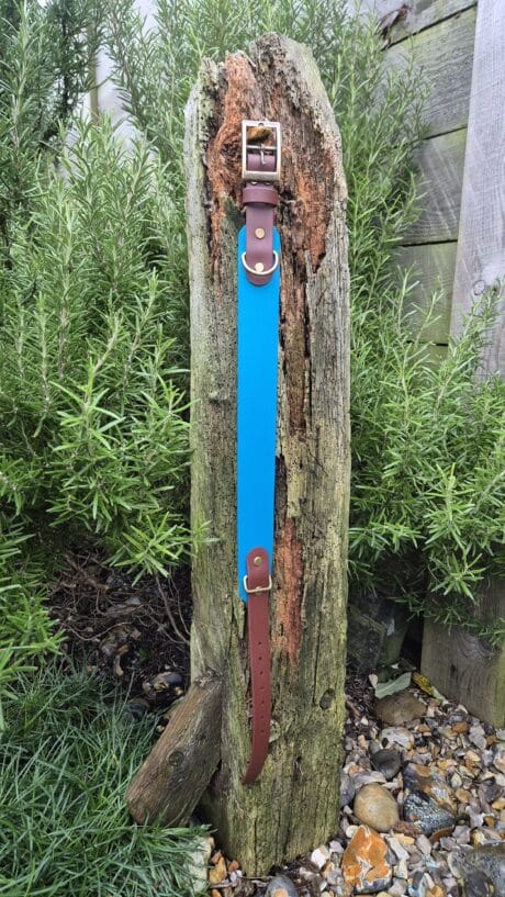 The Driftwood Tapered Collar is shown upright on a weathered wooden post in a garden, surrounded by greenery and pebbles. It features blue and brown leather with brass fittings.