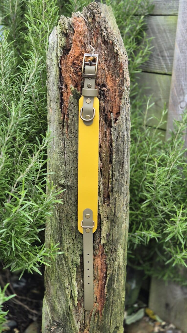The Saffron Grove Tapered Collar, in yellow and olive green with a buckle, is displayed vertically on a weathered tree stump amidst green foliage.