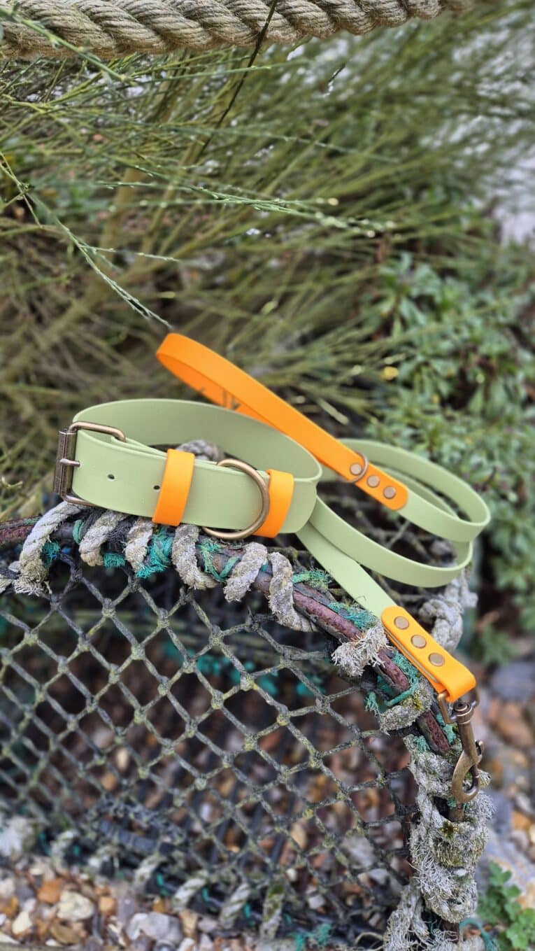 A Bordeaux Grove Extra Wide Collar in green and orange, with a matching lead, is displayed on weathered rope and net outdoors amid greenery—part of the vibrant Bordeaux Grove collection.