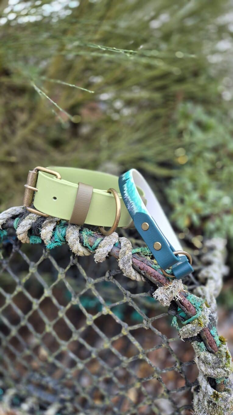 Two Bordeaux Grove Extra Wide Collars sit on a fishing net outdoors—one in light green with a gold buckle, the other teal with blue-and-white stitching and brass rivets. Blurred greenery is visible in the background.