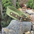 Sage green custom half slip collar with dark BioThane strap and brass fittings, displayed on a garden stone surrounded by succulents.
