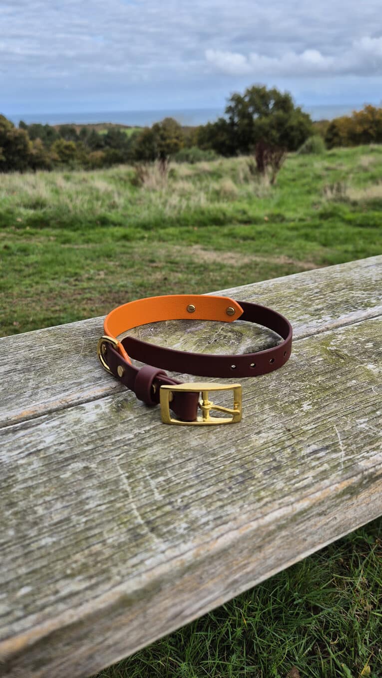 Handmade Amberwood Biothane dog collar with orange and brown BioThane straps and brass buckle, displayed on rustic wooden table overlooking pastoral countryside landscape.