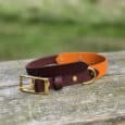 A brown and orange leather dog collar with a gold buckle and ring rests on a weathered wooden surface outdoors, with grass and trees blurred in the background.