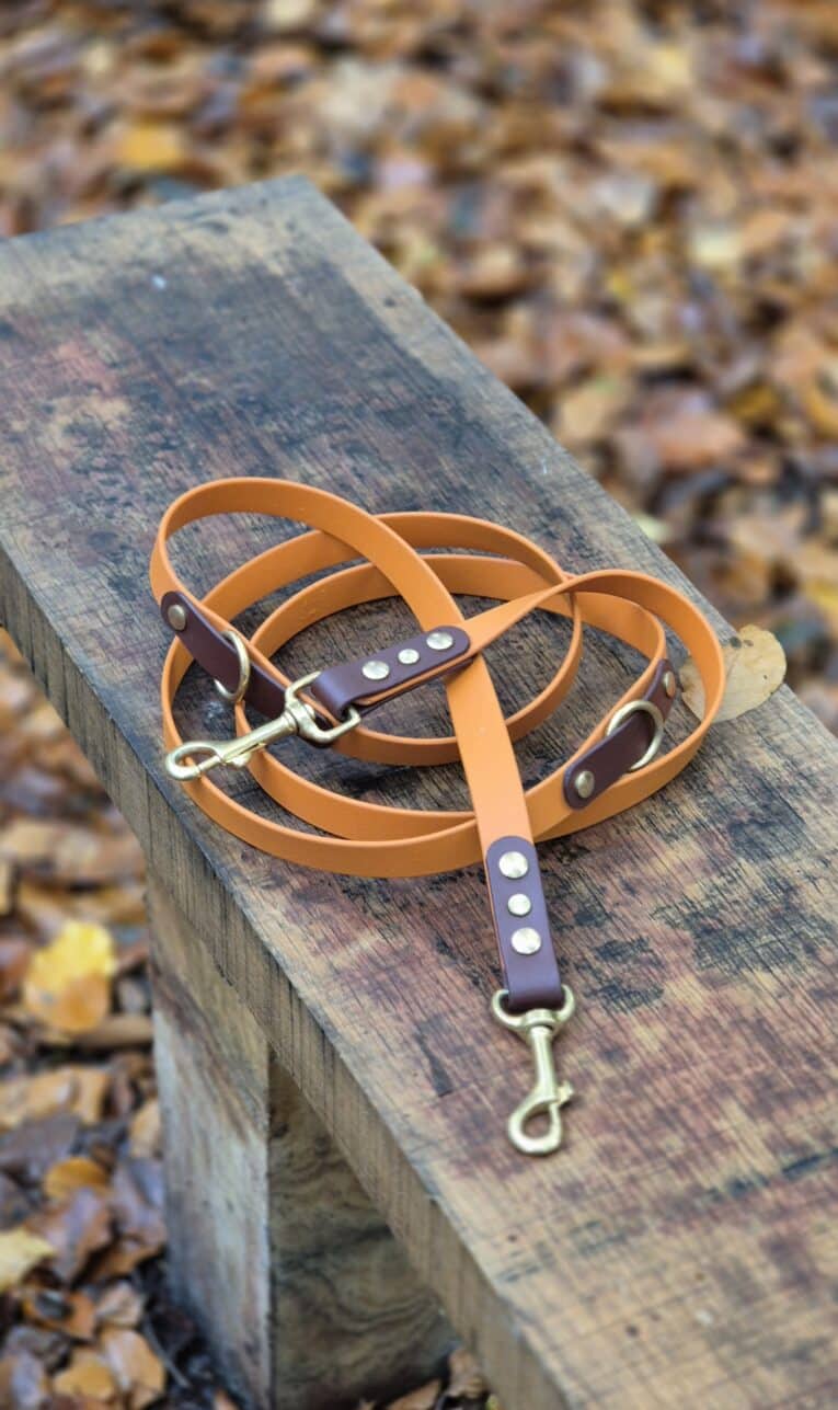 A Custom Two Colour Multi-way Lead with brass fittings, in orange leather, is coiled on a weathered wooden bench, with brown fallen leaves scattered across the ground in the background.