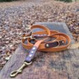 A brown and orange dog lead with brass fittings rests on a wooden bench in a park. Fallen autumn leaves cover the ground and trees line the path in the background.