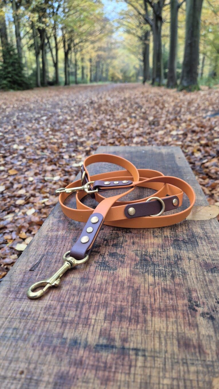 A brown and orange dog lead with brass fittings rests on a wooden bench in a park. Fallen autumn leaves cover the ground and trees line the path in the background.