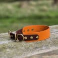 A handmade dog collar with an orange and brown leather strap, gold rivets, and metal rings, resting on a weathered wooden fence with a blurred grassy field in the background.