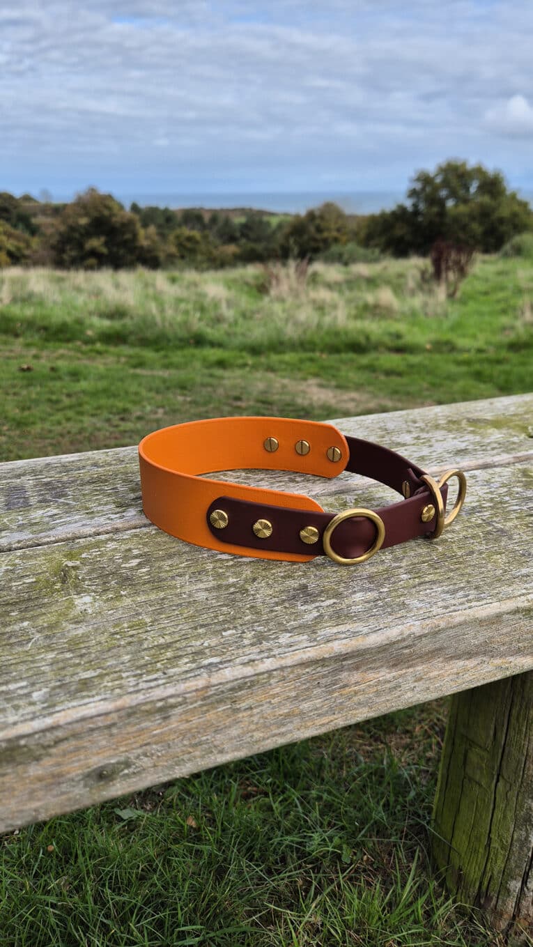 A brown and orange leather dog collar with brass fittings is resting on a weathered wooden bench outdoors, with grassy fields and trees in the background under a partly cloudy sky.