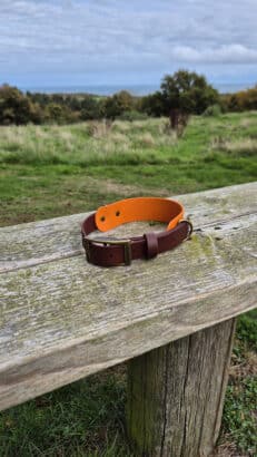 A brown and orange dog collar rests on a weathered wooden bench outdoors, with a grassy field and trees in the background under a partly cloudy sky.