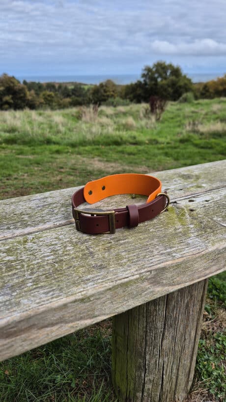 A brown and orange dog collar rests on a weathered wooden bench outdoors, with a grassy field and trees in the background under a partly cloudy sky.