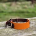 A bright orange and brown dog collar with brass fittings sits on a weathered wooden fence rail, with a blurred green field and trees in the background.