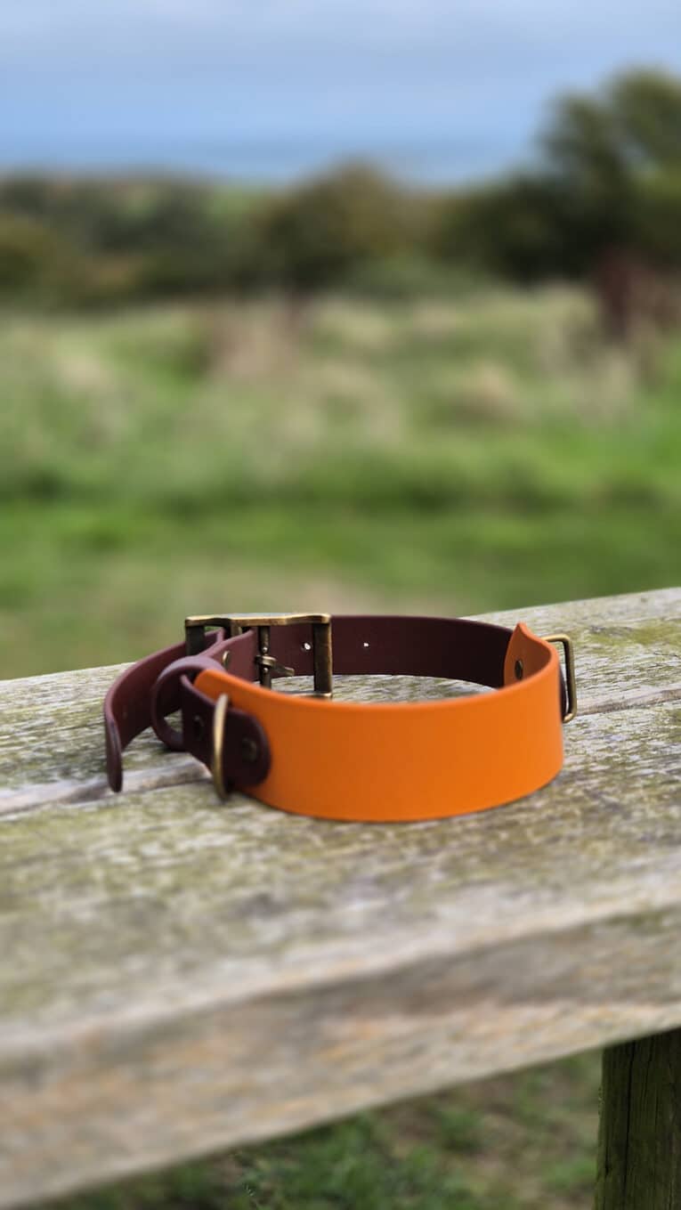 A bright orange and brown dog collar with brass fittings sits on a weathered wooden fence rail, with a blurred green field and trees in the background.