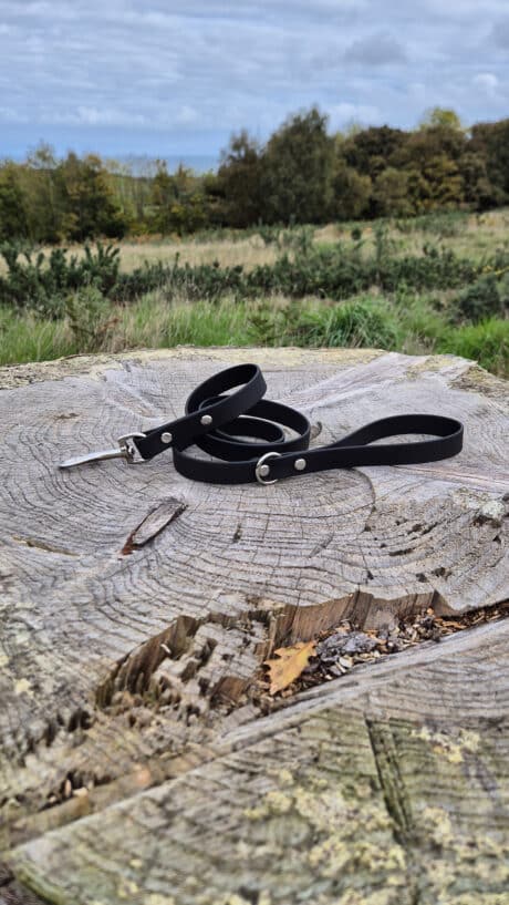 A black leather dog lead with a metal clip rests on a weathered tree stump outdoors, with grassy fields and trees visible in the background under a cloudy sky.