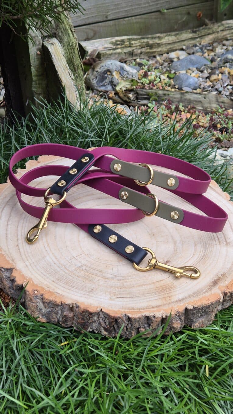 Two Custom Two Colour Multi-way Leads in pink with gold fittings and black accents are coiled on a tree stump, surrounded by green grass and garden stones.