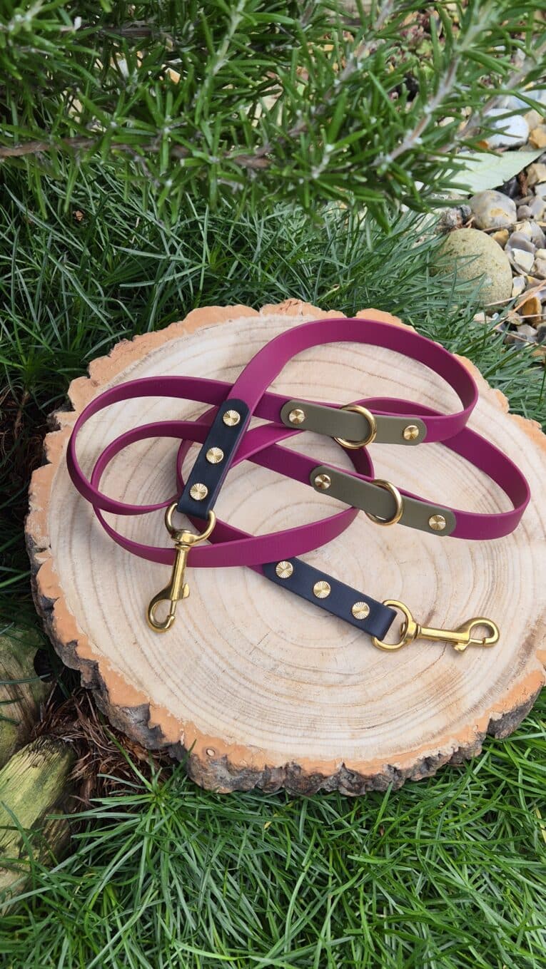 A purple and black dog lead with gold fittings is coiled on a tree stump, surrounded by grass, rocks, and green foliage.